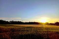 Tramonto