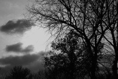 Grey Sky