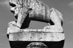 Statua leone